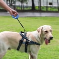 thumbnail image 4 of Laisse pour Chien avec Distributeur de Sacs à Déchets Rétractable Réfléchissante pour Marche Extérieure Visibilité Nocturne Matériau ABS Durable Laisse, 4 of 4