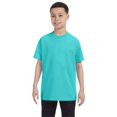 thumbnail image 1 of Jerzees Youth 5.6 oz. DRI-POWER ACTIVE T-Shirt - 29B, 1 of 1