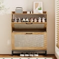 thumbnail image 3 of Toytexx 2-Tier Rattan Shoe Cabinet with Flip Drawers, Adjustable Shelves and Metal Base, Light Oak Finish, 3 of 7