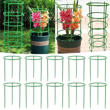 Free-Assembling Plant Support Cage For Climbing Plantsflowering Tomato Cage With Stakes And Stabilizing Support Ring 6Packs #e9vN4