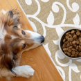 thumbnail image 1 of SussexHome Pets Ultra-Thin Cat and Dog Litter Mat for Litter Box - Washable Soft Natural Cotton Cat and Dog Litter Trapping Mat - Paws-Kind Slip Resistant Litter Catching Mat, 1 of 6