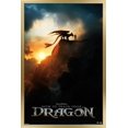 thumbnail image 1 of Dragons (2025) - Fiche d'information, 1 of 3