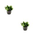 thumbnail image 1 of Decodeary Green Eco-friendly Artificial Money Tree In Pot Long-lasting Durability Realistic Appearance new whitebabysbreath 2Set, 1 of 6