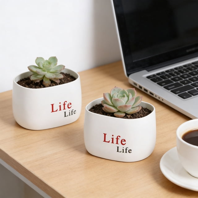 Weloille Round Thickened Plastic Flower Pot 2 Pieces, Flocked Surface Plant Pot Set, Drainage Hole Planter, Multi-Size Decorative Plant Container for Garden Balcony Home