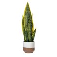 thumbnail image 1 of 20.5" Green/Yellow Snake Plant Ceramic, 1 of 1