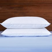 Puredown® Feather & Down Pillow Set of 2