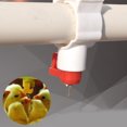 thumbnail image 3 of 20Pcs Automatic Chicken Water Drinking Nipple Feeder Poultry Feeding Equipment, 3 of 10
