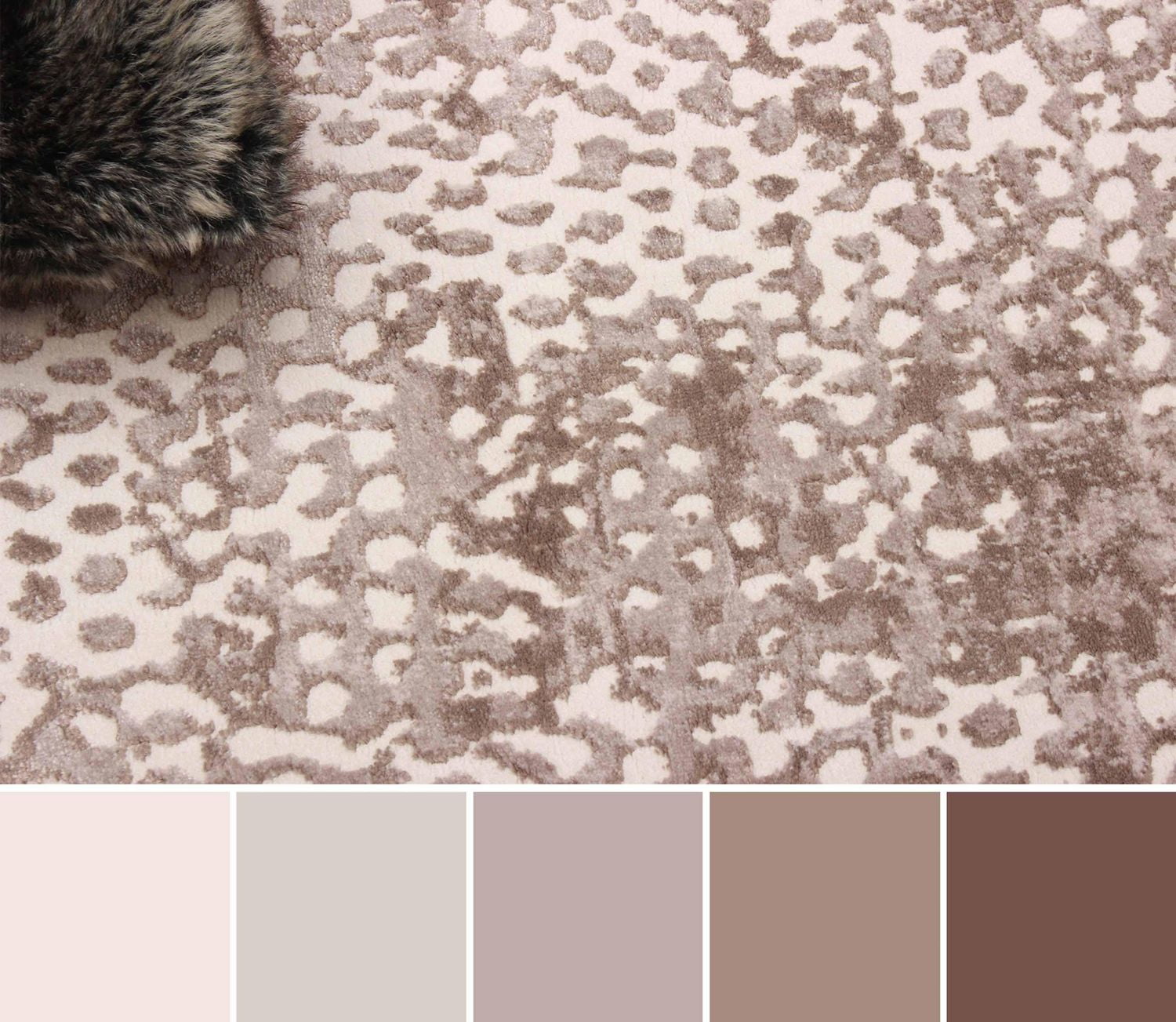 ECARPET Sarah 5'0" x 8'0" Contemporary/Modern Area Rug for Living Room, Bedroom, Dining Room, Entrance, Hallway and More.