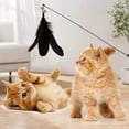 thumbnail image 1 of SPOORYYO Cats Toy Feathers Play Stick with Bells - Interactive Training Game for Cats and Kittens, Replaceable Feathers, Engaging Exercise Toy, 1 of 6