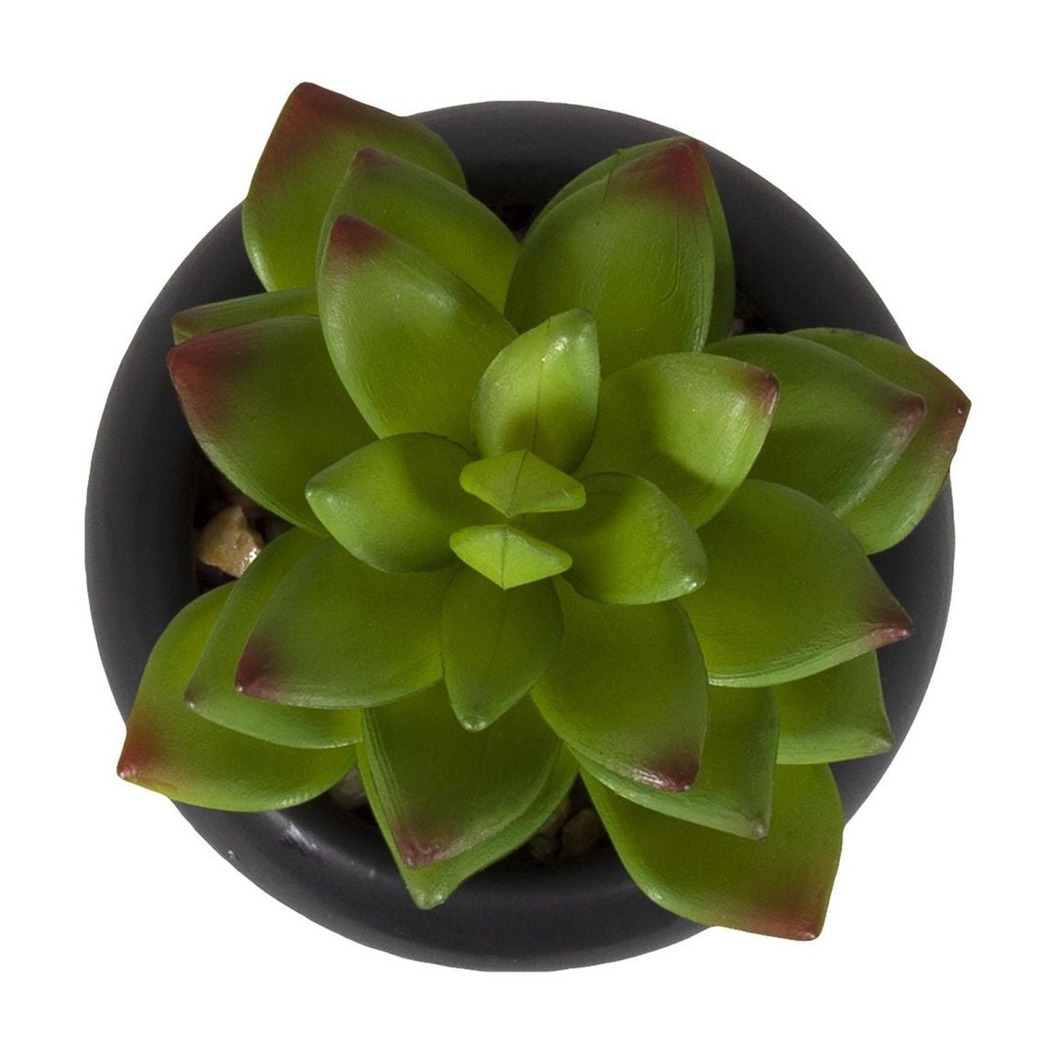 DesignOvation Succulente artificielle de table de 10,5 cm de haut dans un pot en céramique noire