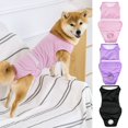 thumbnail image 1 of MesaSe Vêtements de Récupération pour Animaux de Compagnie Confortable Respirant Réglable Chirurgie pour Chien Récupération Costume Protection Anti-Léchage Approvisionnement pour Animaux de Compagnie Rose, 1 of 13