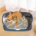 thumbnail image 1 of Toilette pour Chien Intérieur Extérieur Bassin d'Entraînement Support de Tapis Bac à Litière Bleu G, 1 of 10