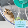 thumbnail image 4 of Oxbow Enriched Life 2-in-1 Quiet Runner Exercise Wheel, 8 Inch for Small Animals, 4 of 5