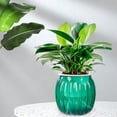 thumbnail image 4 of Dvruxg Self Watering Pots for Indoor Plants Planters with Drainage Holes Flower Pots Durable Plastic with Wick Rope and Reservoir(Green), 4 of 5