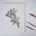 thumbnail image 2 of North Shore sketch pad 9"X12", 2 of 3