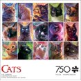 thumbnail image 1 of 750P CATS - FRENCH, 1 of 5