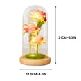thumbnail image 3 of TopLLC Cadeau de la Saint-Valentin Veilleuse Led 3 Roses Abat-Jour en Verre Ornements, 3 of 6
