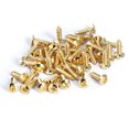 thumbnail image 2 of MasteelfCA 50 Pcs Vis de Protection pour Médiator de Basse de Guitare pour Guitare ST TL SG LP (Doré), 2 of 3
