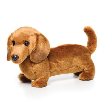 Jouet en Peluche Dachshund de Dessin Animé Adorable, Matériaux de Haute Qualité Compagnon Câlin Idéal pour le Jeu à Long Terme et les Voyages (Compact)