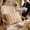Khaki#12084, variant on Pineapple Shaped Bread Pillow Insert with High-Resilience Compressed Down-Like Fiber – Hotel-Grade Pillow for Sleeping, Dorm Rooms, and Decorative Use