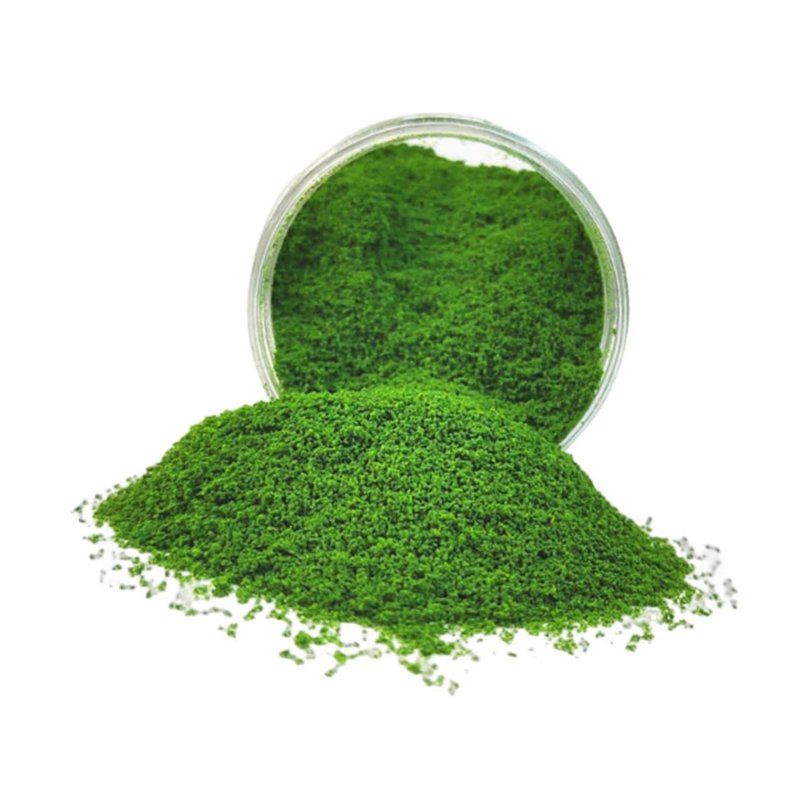 Esquirla Gazon Artificiel Débris Mini Faux Gazon pour Miniatures Paysage Construction de Rue Vert Foncé