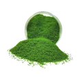thumbnail image 1 of KLKCMS Gazon Artificiel Débris Mini Faux Gazon pour Miniatures Paysage Construction de Rue Vert Foncé, 1 of 9