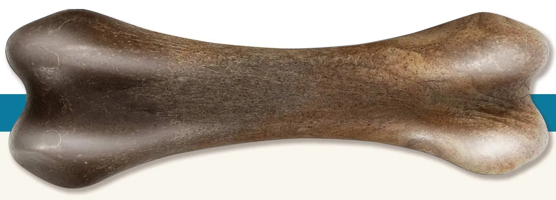 Os à mâcher robuste Nosh Zeus pour chiens, arôme de bacon, petit