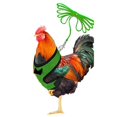 thumbnail image 1 of Harness Adjustable Chicken Harness with Leash Breathable Hen Pet Vest with 3.6 Feet Matching Belt Outdoor Training Traction Rope for Pets Duck Goose Green M, 1 of 8