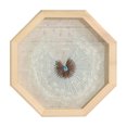 thumbnail image 1 of Kit de Départ pour Broderie Créatif Bricolage Point de Croix Transparent Panier Kit de Point de Croix, 1 of 10