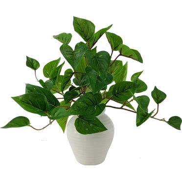 Mainstays intérieur Pothos doré artificiel en pot, couleur verte, hauteur assemblée: 33cm, Pot en plastique