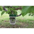 thumbnail image 4 of Green-Strike® Solar Fly Trap Lantern is an eco‑friendly, reusable trap  helps you enjoy your outdoor spaces without the constant annoyance of flies. This trap uses a highly effective natural  lure., 4 of 5