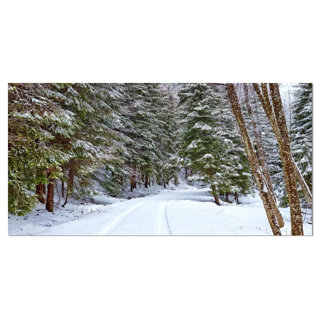 Designart Route Enneigée dans la Forêt Art Mural sur Toile Mettant en Vedette une Route Enroulée Enneigée Traversant une Forêt dense d'Arbres à Feuillage Persistant Enneigés, Imprimé sur Toile de Coton de Qualité Supérieure avec Côtés Enveloppés de Galerie, Idéal pour Ajouter un Charme Campagnard à la Déco de la Maison.
