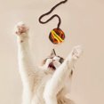 thumbnail image 4 of Jouet Interactif pour Chat avec Cordes et Fil pour Jeu Intérieur Exercice, 4 of 4