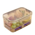 thumbnail image 2 of A Must Have For Picnics! Outdoor Portable Double Layer Fresh Keeping Box With Ice Box Mobile Small Refrigerator Lunch Box Fruit Box Portable Outing Keep Food Fresh!, 2 of 8