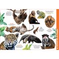 thumbnail image 3 of My Giant Animal Book, 3 of 5