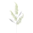 thumbnail image 1 of Vickerman QG192211 33 in. White Fern Leaf Spray - 6 per Bag, 1 of 2