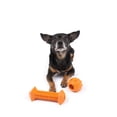thumbnail image 3 of One Paw, 2 pack Rubber Chew Dog Toy, Small, Treat Dispenser, 3 of 4