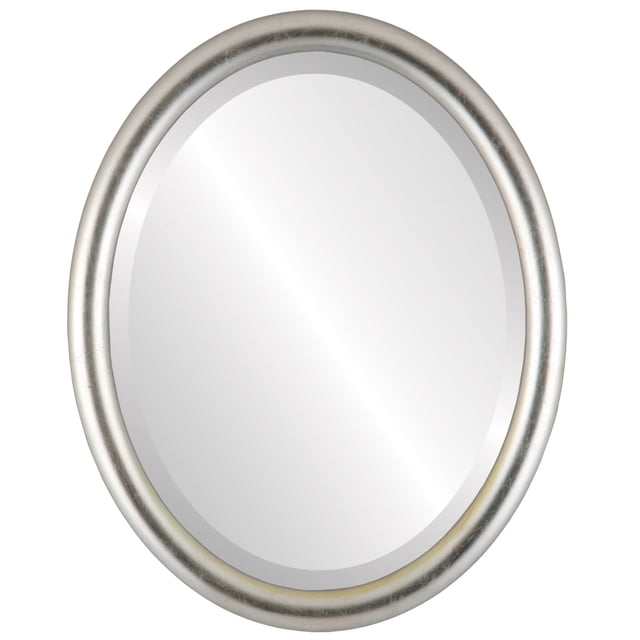 Pasadena Framed Mirror - Silver Leaf with Brown Antique