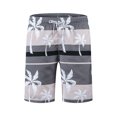 thumbnail image 4 of Men's Shorts Swim Trunks Quick Dry Beach Surfing Running Swimming Watershort, 4 of 9