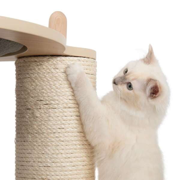 Catit Vesper Meuble Arbre à Chat Moyen
