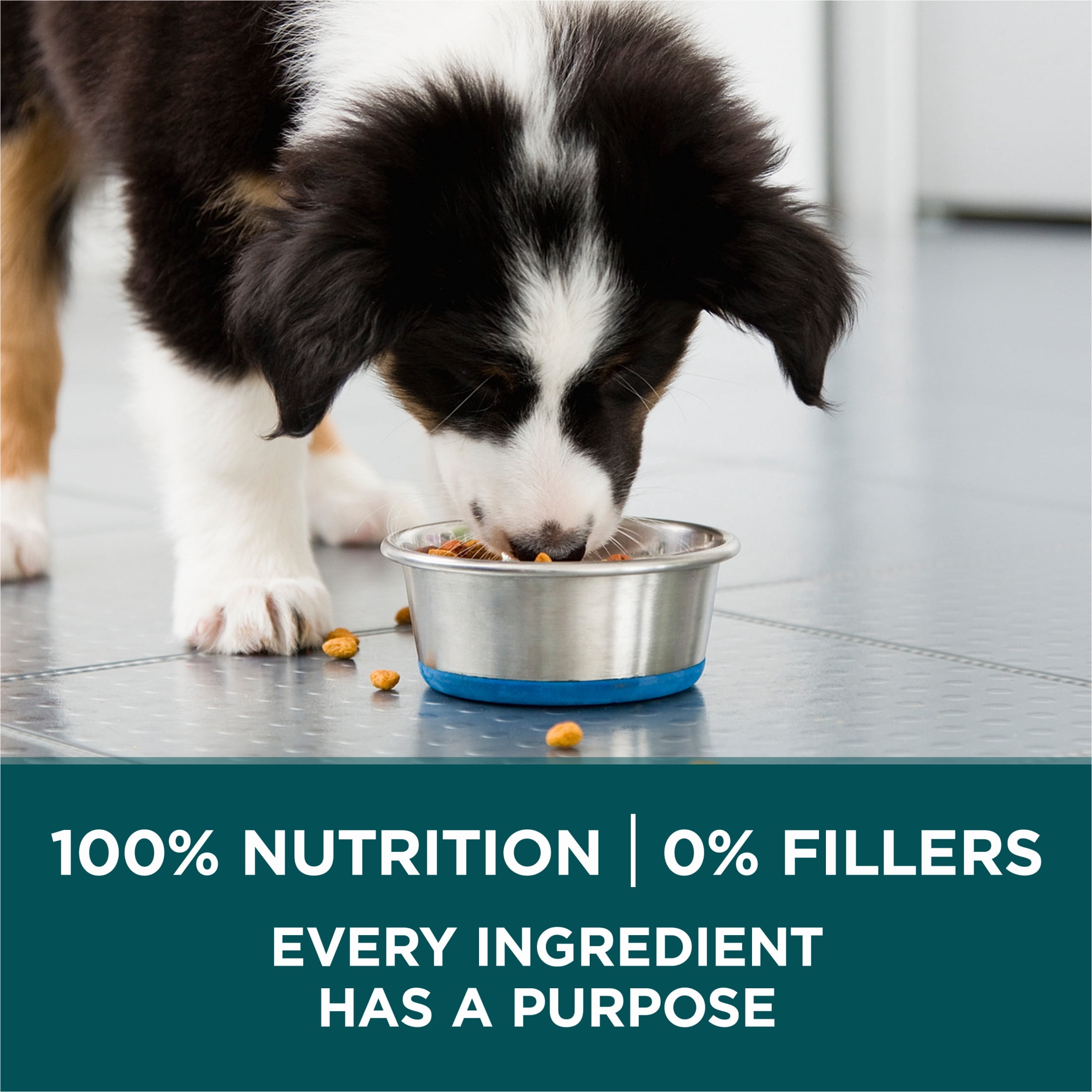 Purina ONE SmartBlend Formule pour Chiot de Grande Race au Poulet, Nourriture Sèche pour Chiens 14 kg