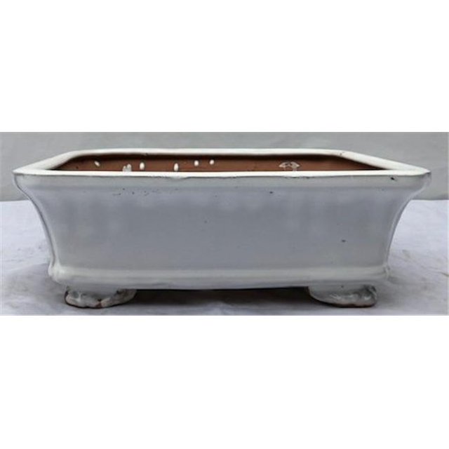Pot de Bonsaï en Céramique, Blanc - Rectangulaire