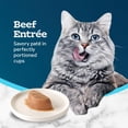 thumbnail image 3 of Blue Tastefuls Spoonless Singles Beef Entrée Savoury Paté Adult Cat, 3 of 10