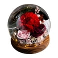 thumbnail image 2 of TopLLC Rose Flower LED Light Valentines Day Gifts Romantic Glass Rose Decor, 2 of 2