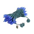 thumbnail image 3 of Novelty Lights 70 Light C6 LED Christmas Mini Light Set, Commercial Grade Outdoor String Lights, Blue, Green Wire, 24 Feet, 3 of 7