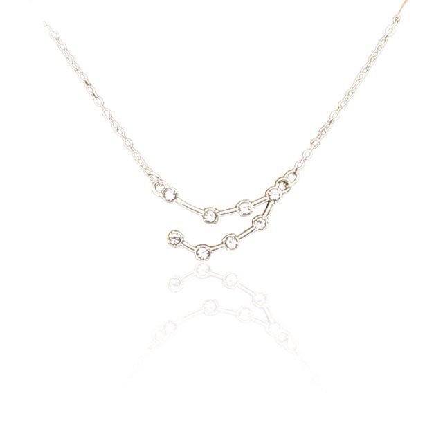 Ins Constellations Theme Friendship Necklace Rhinestone Comfortable Delicate with Display Card Pendant for Lover Festival Gifts Capricorn Silver