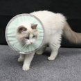 thumbnail image 4 of Cat Cone, Dog Cone Elizabethan Collar For Cats Adjustable Recovery Pet Cone Elizabeth Protective Collar Wound Healing Practical Neck Cover For Cats, Mini Dogs and Rabbits, 4 of 7