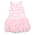 thumbnail image 1 of Biscotti Girls' Pink Dress with Ruffled Skirt Pick a Posy, Sizes 12M-12 - 18M, 1 of 2