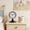 Black#1162, variant on Minimal Round Table Clock with Pedestal Base – Silent Quartz Analog Desk Clock for Bedroom Living Room Office Home Decor