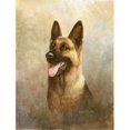 thumbnail image 1 of Carolines Treasures BDBA0464GF Alsatian German Shepherd Flag Garden Size, 1 of 3